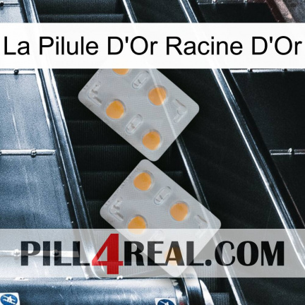The Golden Root Gold Pill 25